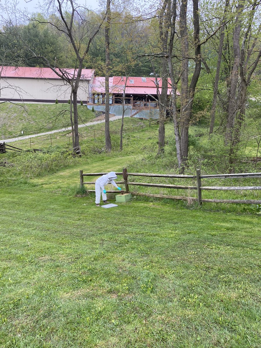 wcdhrider's tweet photo. @BauerOutage Just had the same thing at my house today. We called a bee keeper and he got them all. https://t.co/SwPeV65inm