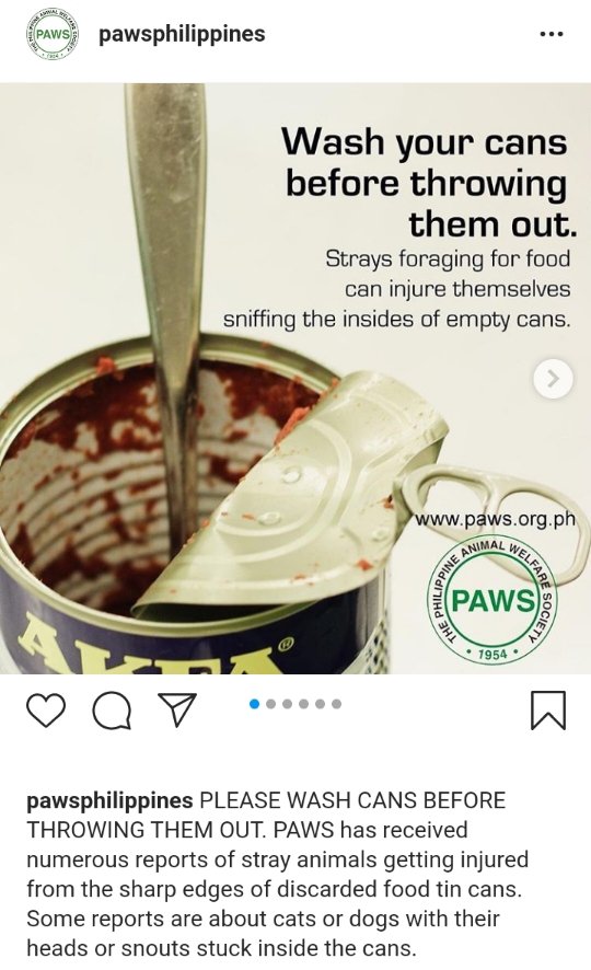 Reminding people to be mindful and wash their cans before throwing them out to ensure strays do not get injured from themnadine igs/pawsphilippines (May 15, 2020)