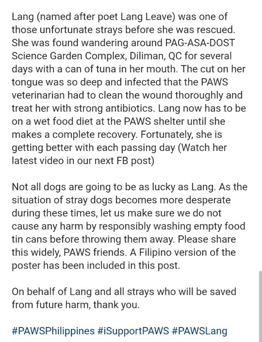 Reminding people to be mindful and wash their cans before throwing them out to ensure strays do not get injured from themnadine igs/pawsphilippines (May 15, 2020)