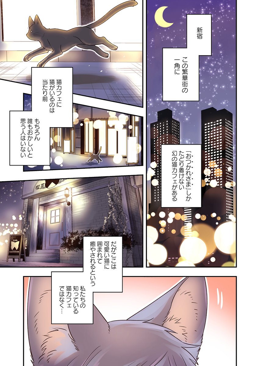 舞嶋大 攻略本 発売中 Twitterren おつかれさまだけ入れる幻の猫カフェ 吾輩は猫である 職業はバリスタ 1 4 舞嶋大 攻略本 発売中 Twitterren おつかれさまだけ入れる幻の猫カフェ 吾輩は猫である 職業はバリスタ 1 4