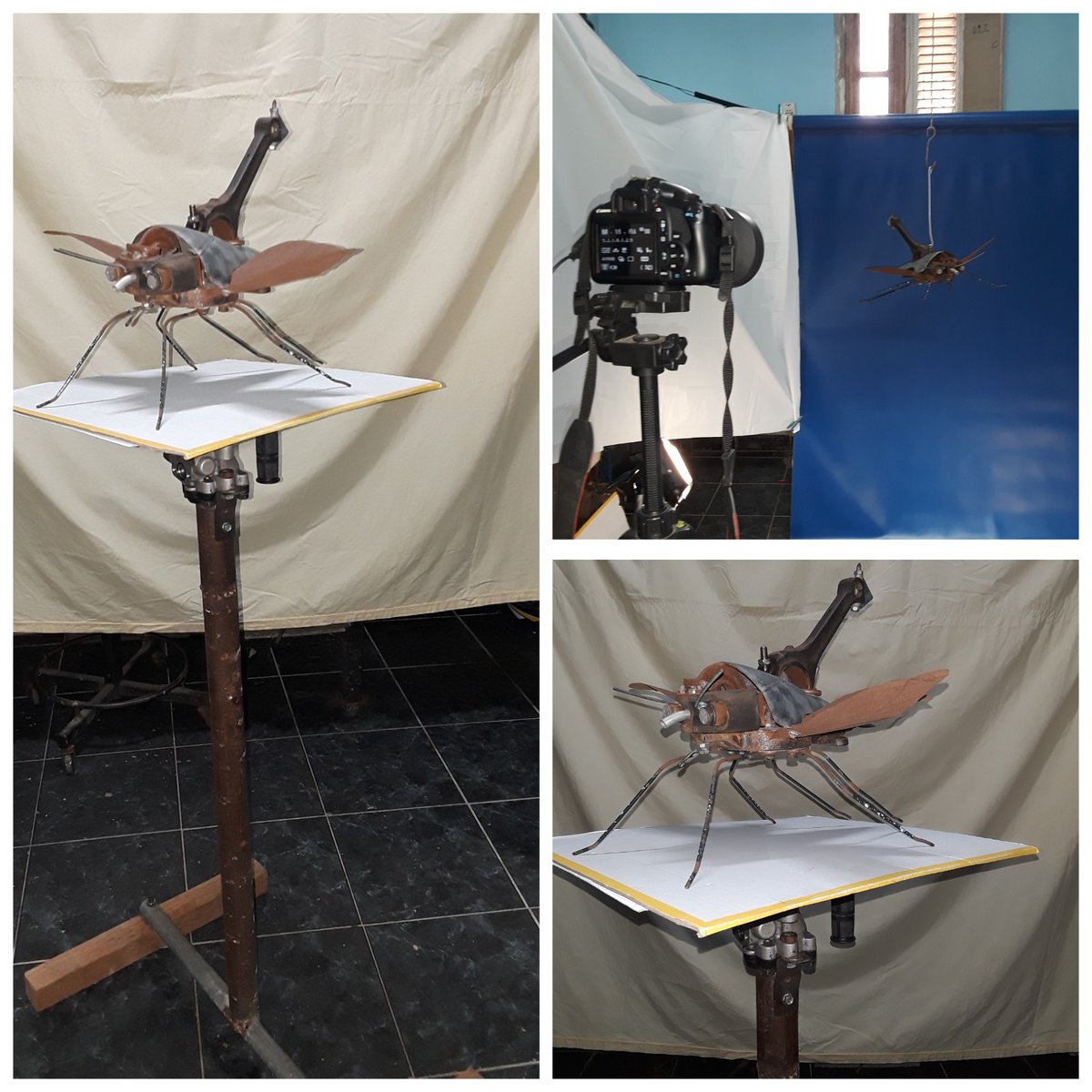 AlejandroSautie's tweet photo. La Umbina Espinosa en el "set de filmación" sobre un aparato para efectos especiales. #insectos #art #esculture #nature #recycle #insect #cubanart #latinart #outside #Habana #Redymade #cine https://t.co/GCurSYtOzs