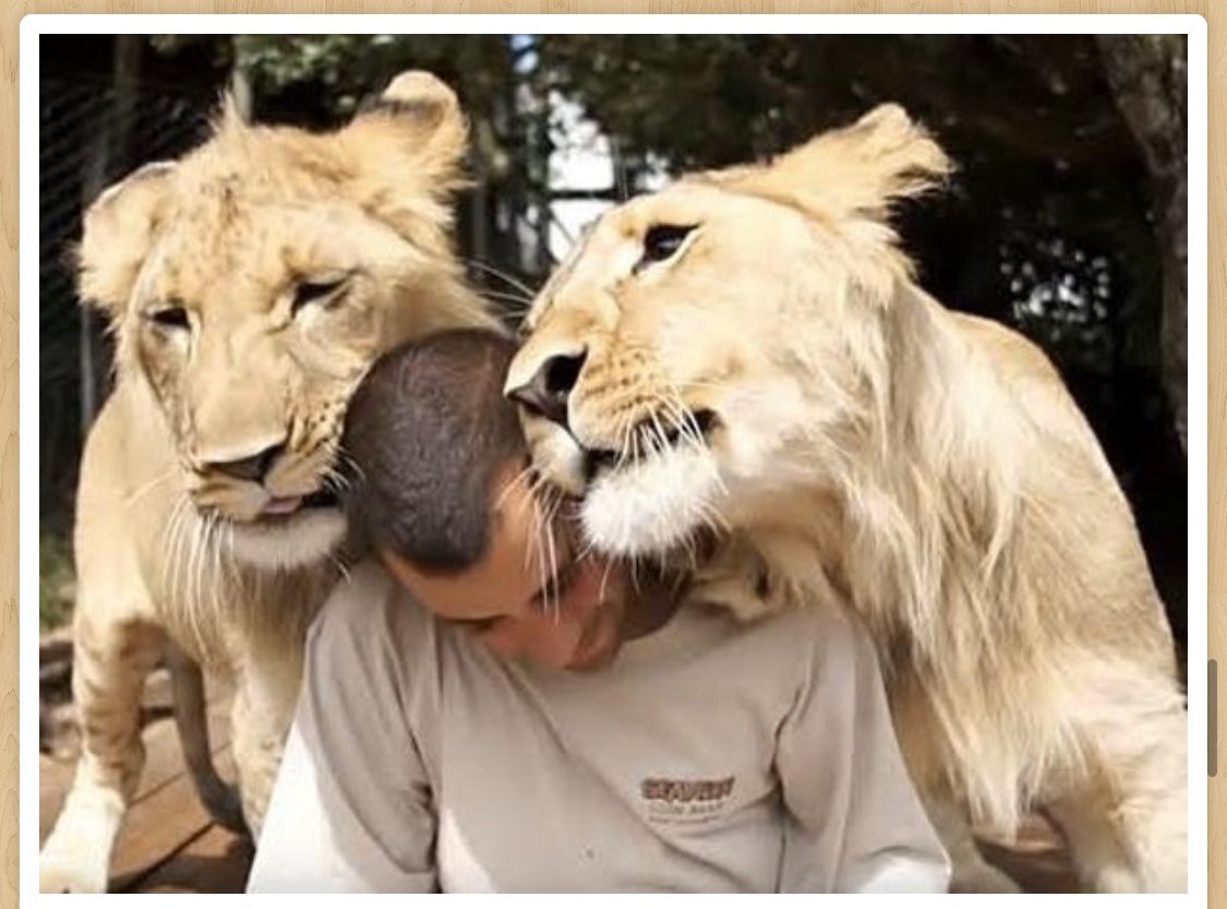 ハゲリシャス速報 Recherche Twitter Twitter ハゲリシャス速報 Recherche Twitter Twitter