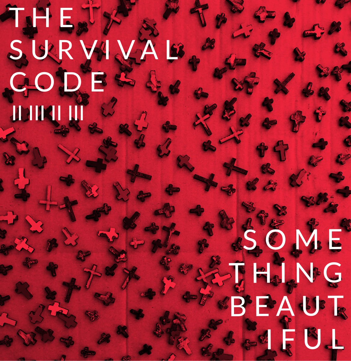 Survival codes. Survival codes