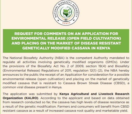 VIRCA Plus Cassava tweet media