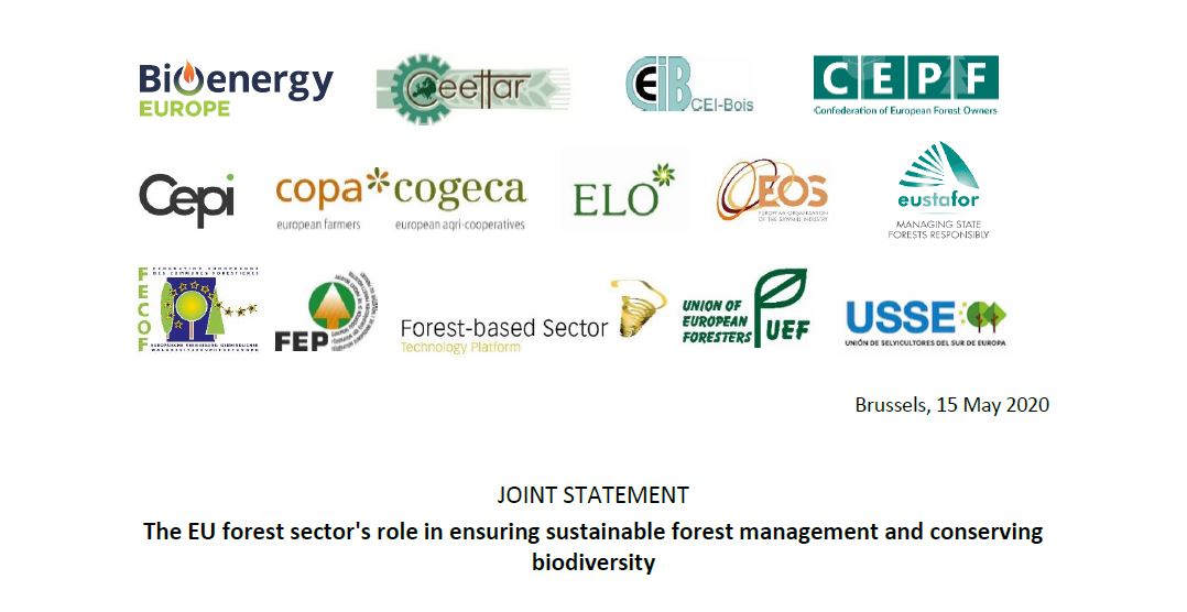 #Sustainable forest management should be at the heart of the #EUBiodiversityStrategy; read the joint position paper of the #forest & #forestbased sectors on managing forests & conserving #biodiversity -> bit.ly/3cxJLnS