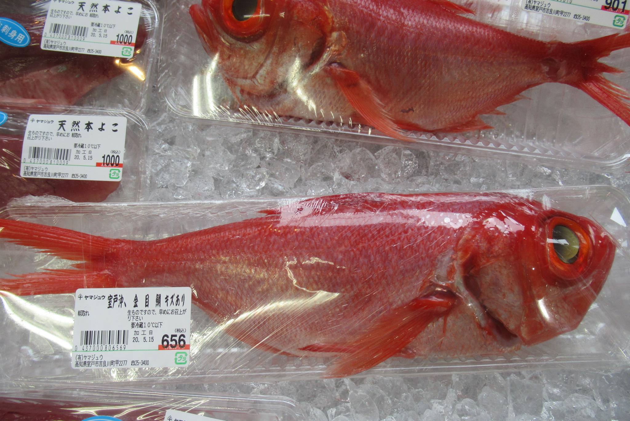 高知県室戸市 道の駅キラメッセ室戸 今日は午後から安い魚が色々と出てました 室戸の名物ともいえる金目も 普段なら手の届かないお値段ですが こんな状況では飲食店からも買い手がつかず かなりお安くなってます 海の町むろとの新鮮魚 これからも