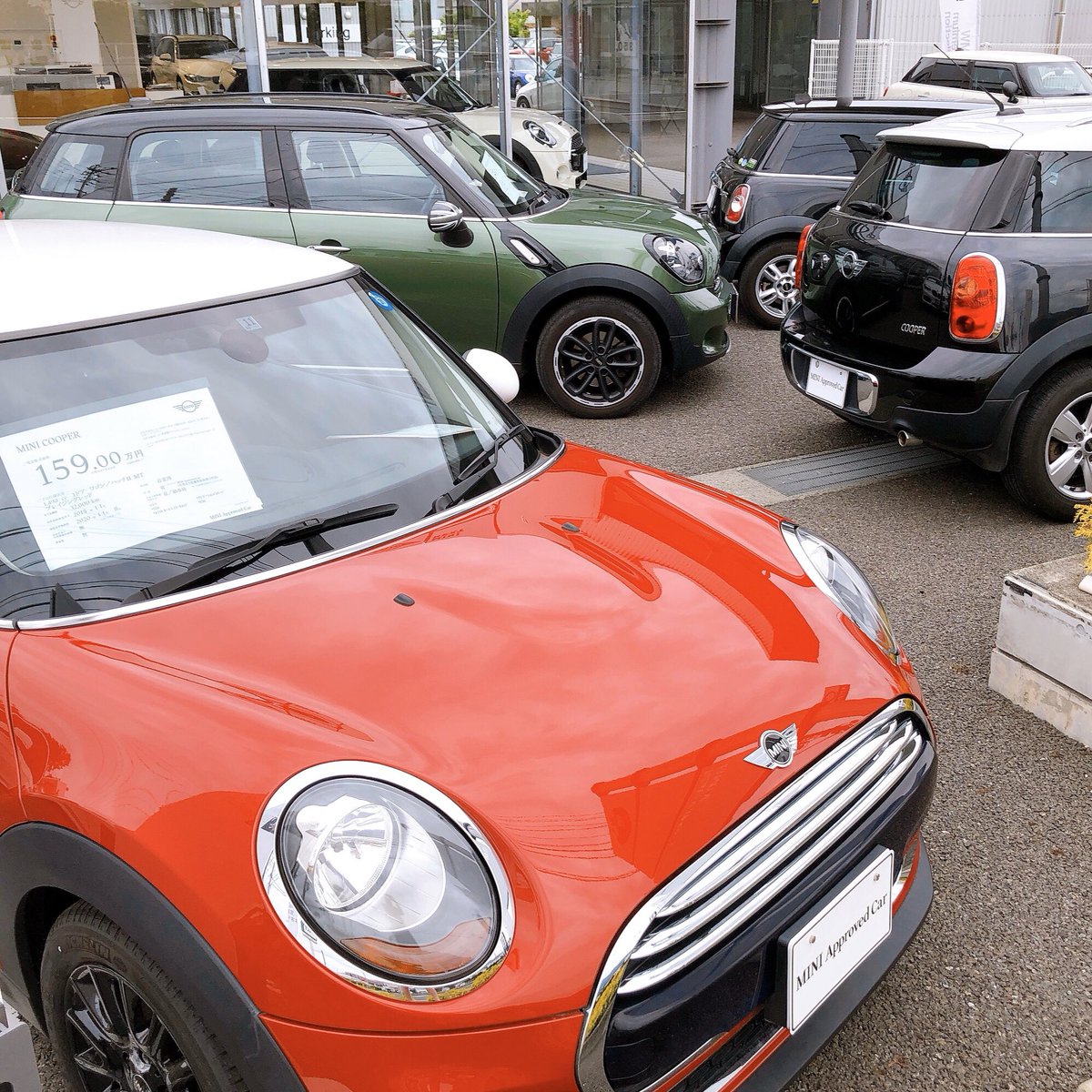 Mini Next 松本 中古車 松本 ミニクーパー على تويتر 推しがいるみなさ ん Miniには様々なカラーがあるので 推しのメンバーカラーとお揃い を叶えることができちゃいます Mini Minicooper ミニ ミニクーパー 車 輸入車 車好きと繋がりたい 推し