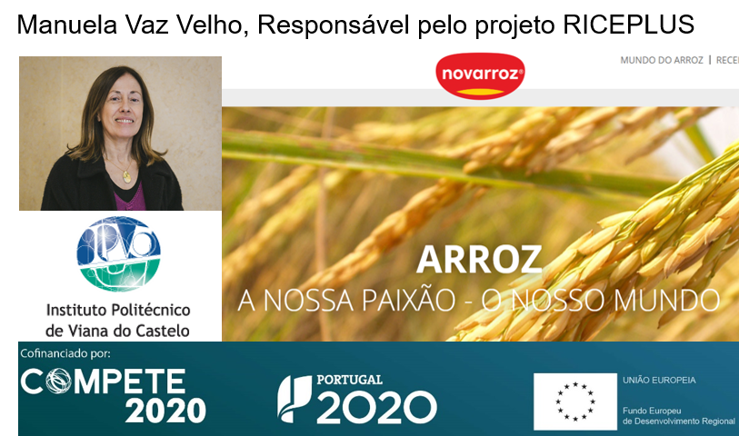 FEEICOMPETE2030's tweet image. @novarroz inova c/ #riceplus ao lançar arroz c/ corantes naturais e propriedades nutricionais benéficas e associadas ao património gastronómico português em #entrevista na #newsletter @FEEICOMPETE2020 bit.ly/2z2k2p0 #compete2020 #portugal2020 #EUinmyRegion #agroalimentar