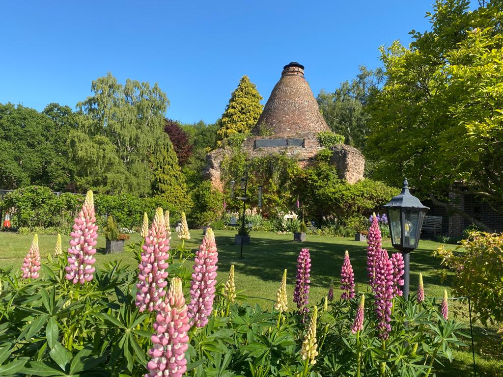 dignity pet funerals