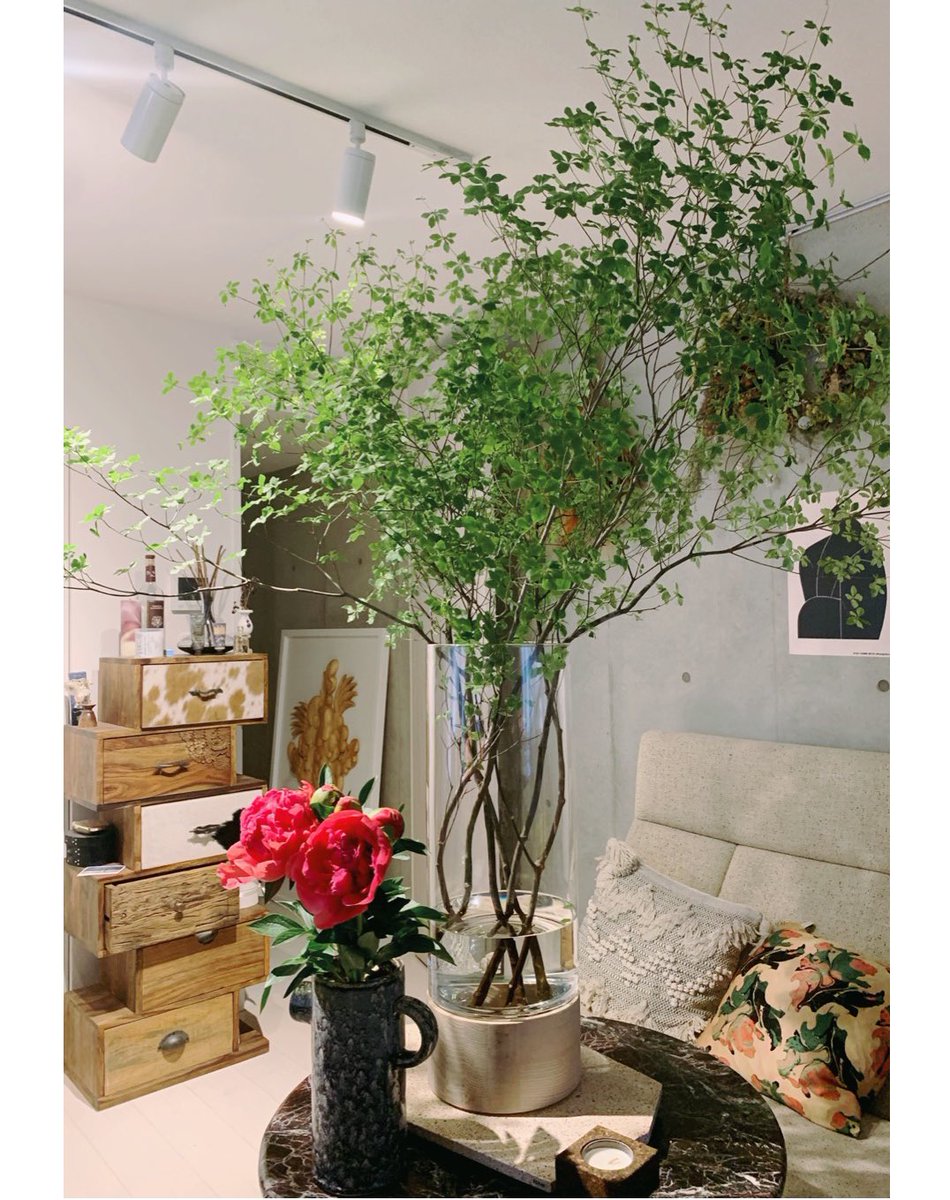 O Xrhsths ᴀ ʏ ᴜ ᴍ ɪ ɢ ᴏ ᴛ ᴏ Sto Twitter 背の高い枝物の花を 部屋に飾りたくて大きな花器を購入 近所の 花屋で 天井に届くくらい大きなドウダンツツジをゲット O Xrhsths ᴀ ʏ ᴜ ᴍ ɪ ɢ ᴏ ᴛ ᴏ Sto Twitter 背の高い枝物の花を 部屋に飾りたくて大きな花器を購入 近所の 花屋で 天井に届くくらい大きなドウダンツツジをゲット