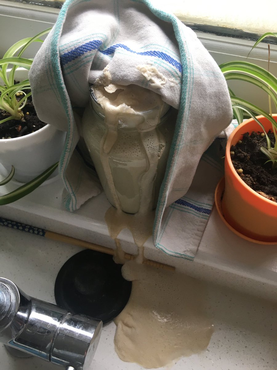 Jen Sigafoos tweet media