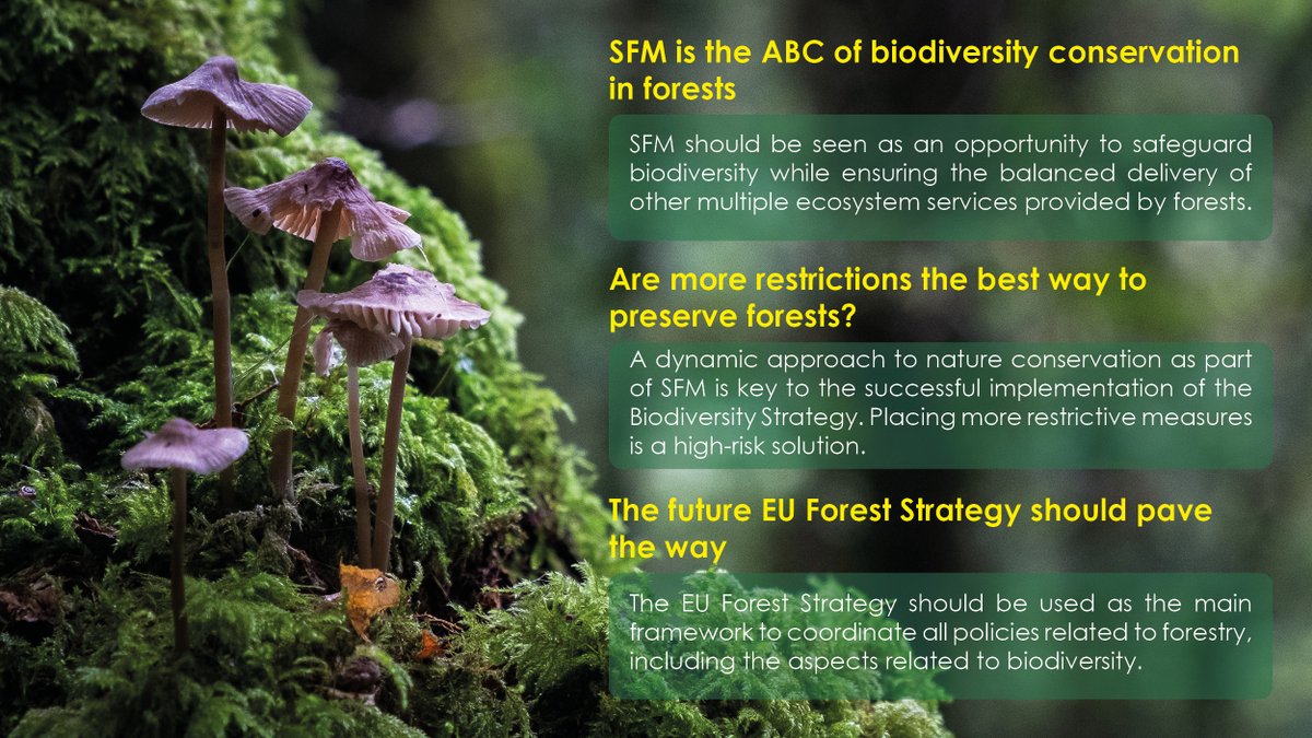 For the sustainable development & resilience of #EUforests, including #biodiversity conservation, the role of the EU forest and forest-based sectors must be at the heart of the #EUBiodiversityStrategy. 

Read our 🆕 joint statement: bit.ly/363OzPj