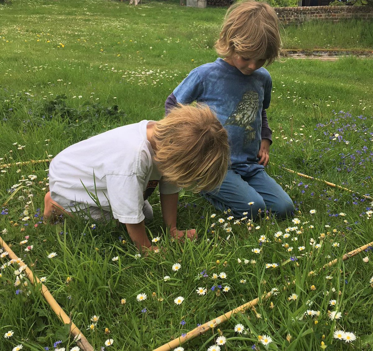 Love_plants's tweet photo. This May you can calculate your own #NoMowMay #PersonalNectarScore by taking part #EveryFlowerCounts #CitizenScience survey > https://t.co/fvaYZD6rFb https://t.co/Vt10b5KMHG