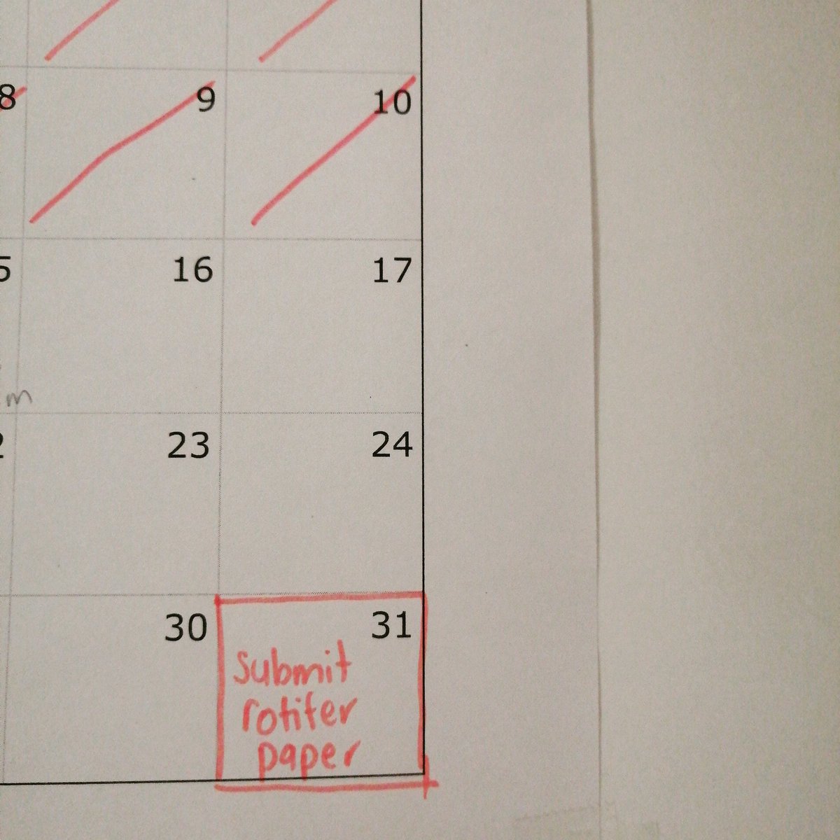 antarctibug's tweet image. #papergoals.. loving that now PhD is done I can focus on updating/reanalyzing/completely redoing the paper from my MSc on NZ #Rotifera will be good to get these seqs public.