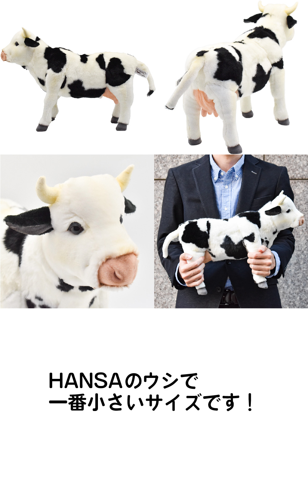 HANSA(ハンサ) on X: 
