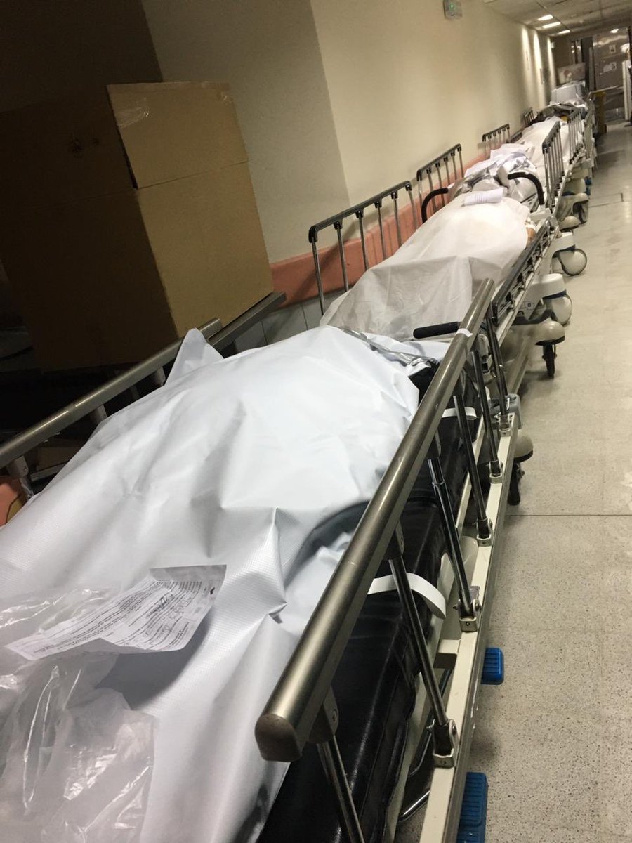 AcidGirl18's tweet image. 