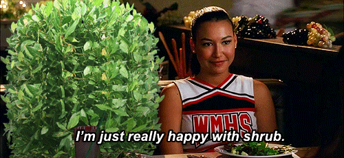 Bonus question for Gleek Tumblr... What was a Non-Canon ship that you wanted to happen (Doesn& #39;t have to be any of the four below)