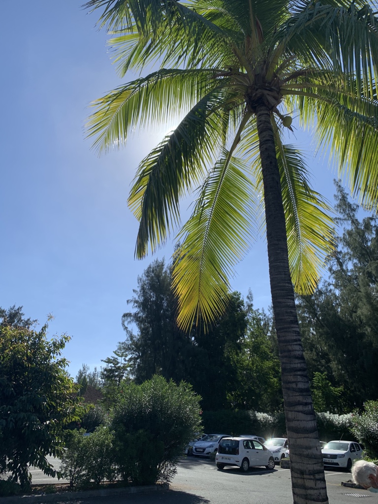zepyaf's tweet photo. Après une grosse nuit de repos il est déjà l’heure de repartir.
J’espère revenir dans des conditions plus favorables car l’hôtel était entièrement vide, juste nous 4 pilotes Air France hier soir…

Une étape à Nairobi puis retour à CDG ce soir à minuit. #AF645 #PilotLife https://t.co/QE3kEtaDYv