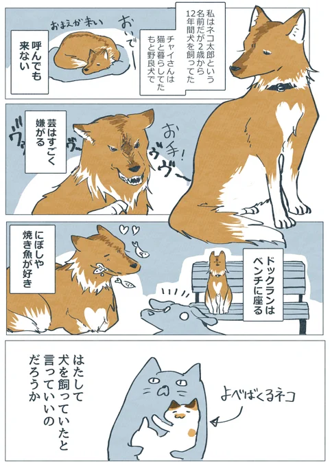 実家ではたぶん犬を飼っていた話 