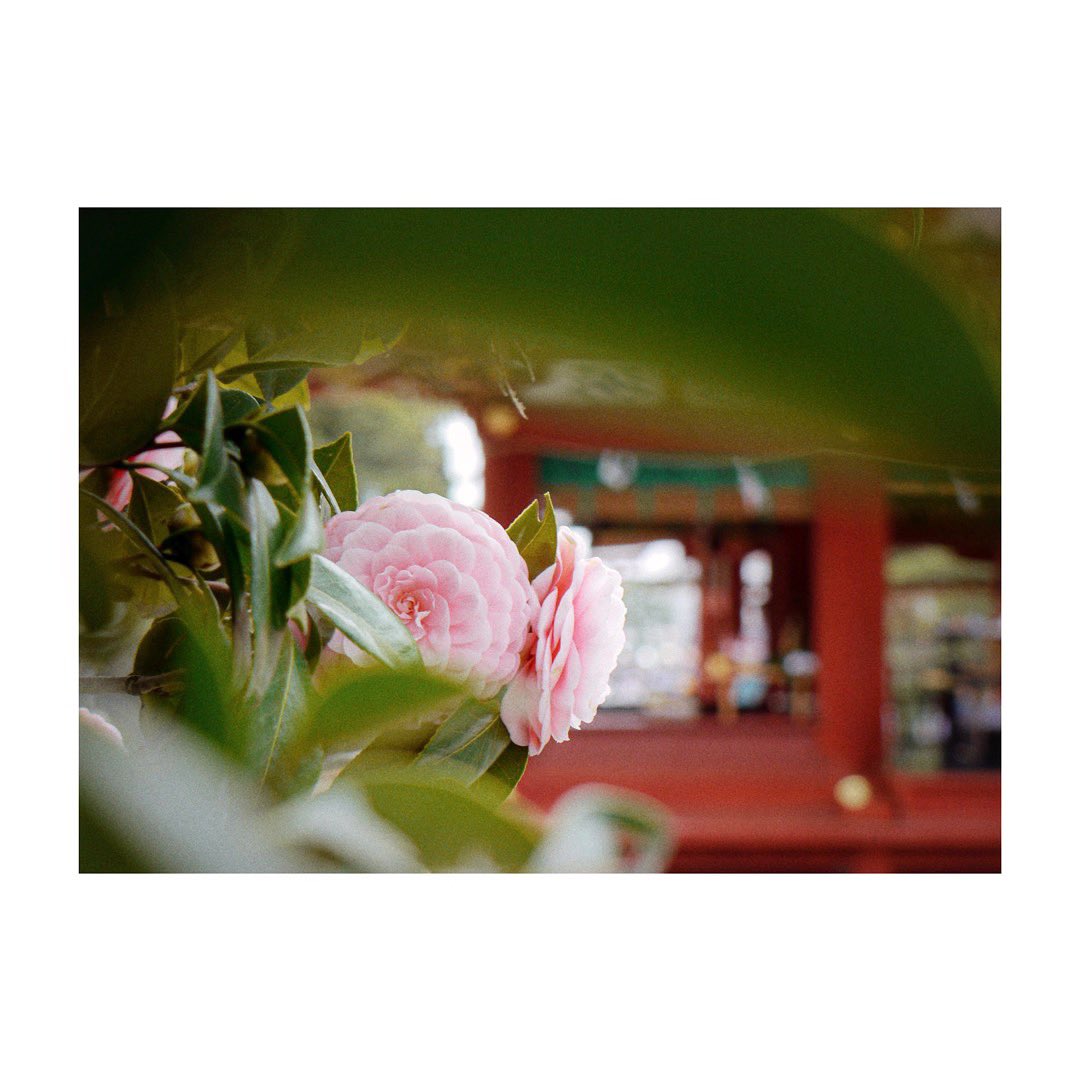 jujubephoto's tweet photo. #デジタルでフィルムを再現したい https://t.co/dPVGqxT3Kl