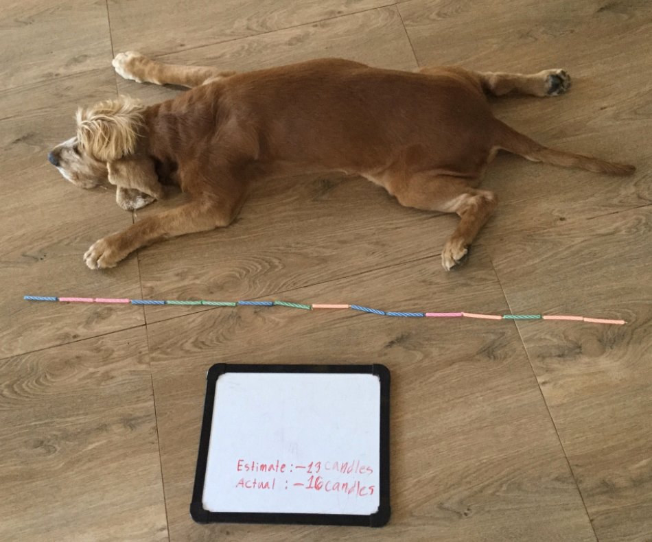 vislaos's tweet photo. VIS@Home - Learning Here, There & Everywhere
Who knew dogs could help you with Math! Measuring lengths using informal units, our G2 student estimated and measured his dog using candles.
#VISathome #vislao #PYP #informalunitsmath https://t.co/m4kdsENQ7t