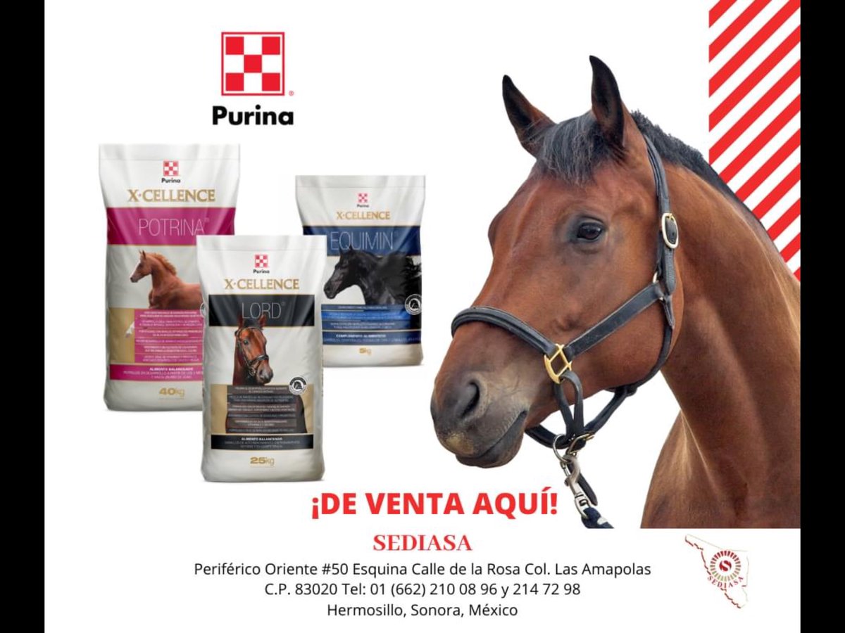 Para los que saben de caballos .