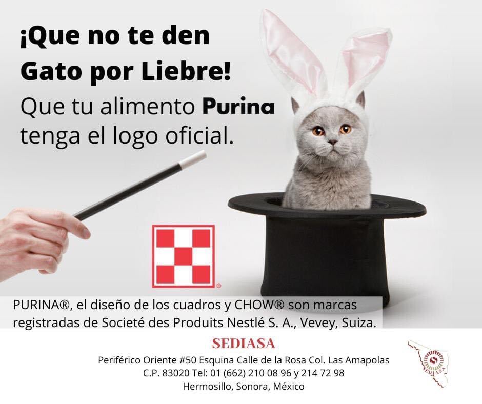 La mejor calidad en alimentos para tus mascotas .