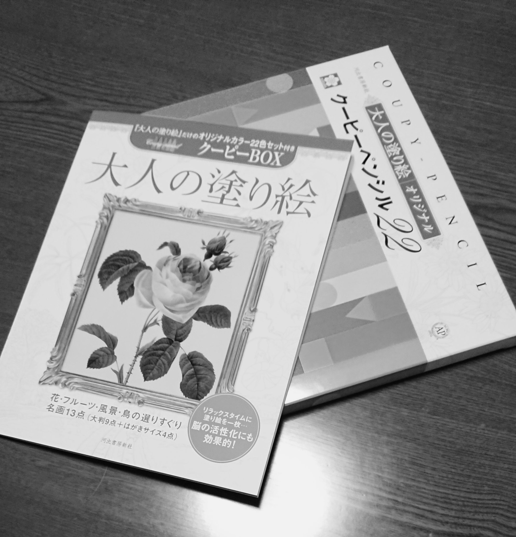 ぁ うちにも 大人の塗り絵 が やってきた