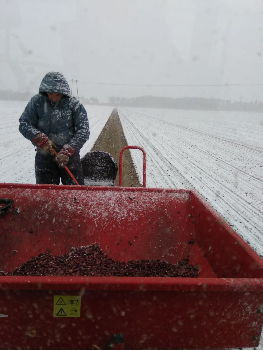 Ei tule ruoka ihan helpolla tälläkään kerralla. Jos työntekijät ovat enemmänkin vakiokalustoa, niin luonto näyttää ainakin kaikki kautensa. 🧐🌱🌬️ #kausityö #ruokaturva #ruokaomastamaasta <a href="/JyrkiWallin/">Jyrki Wallin</a>
<a href="/MarttilaJuha/">Juha Marttila</a>