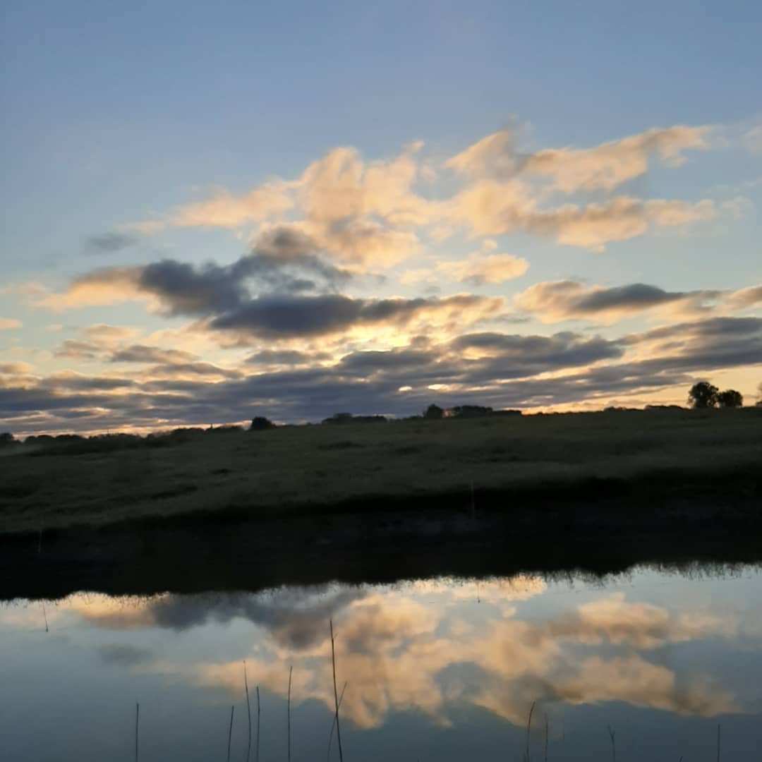 corhpol's tweet photo. Vroege ochtendwandeling in mei en dan zie je dit. #genieten  #KleinGarnwerd #Schilligeham  #Reitdiepdal #Winsum #Groningen #Netherlands #keepfit #weerplaza #buienradar #sunrise https://t.co/Qt6WQYuBTK