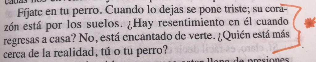 Don Valente tweet media