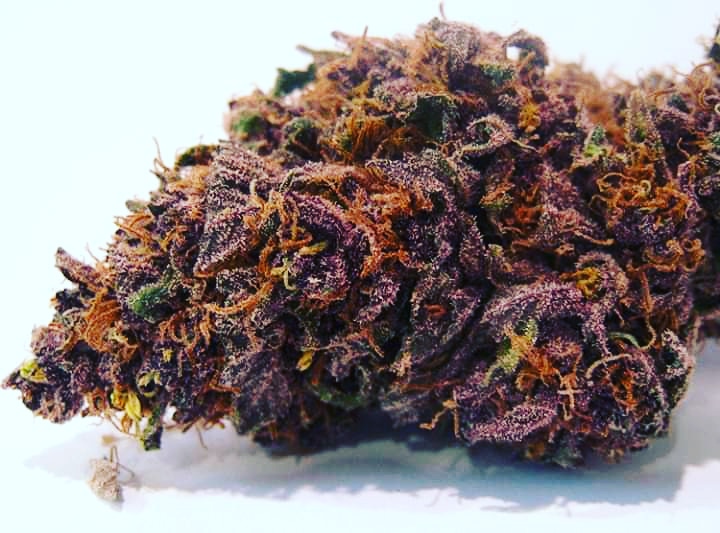 DankGraphics's tweet photo. Oh muh gawd ๐ #michigan420apparel #420 #cannabis #blaze420 #michigan420 #stoners #420girls #shatter #hash #hashbash2020 #blunt #joint #420blazeit #stayhighandfly #thc #cbd #thcoil #cbdoil #kush #cronic #editables #dank https://t.co/oymJzKLEqO