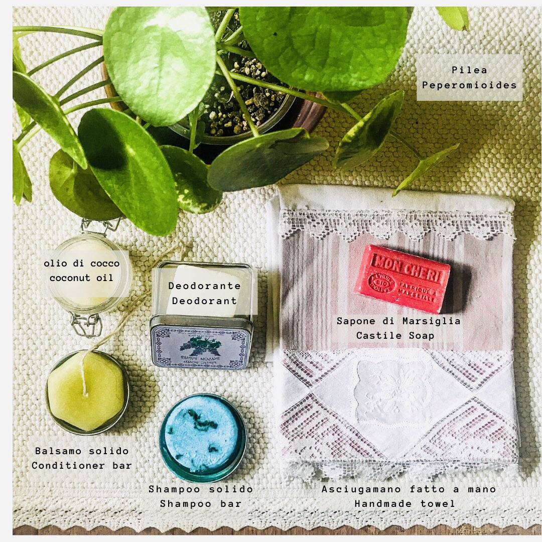 myprivategarde1's tweet photo. Small actions can make a big difference #lowwaste #plasticfree #peperomia #zerowaste #ecofriendly #menoplastica https://t.co/DZsVMev073