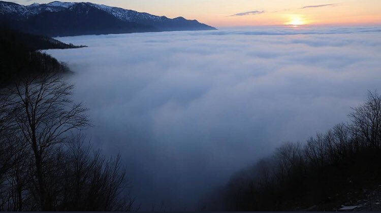 Toz bulutu değil sis bulutu olacak #CankurtaranaDokunma !