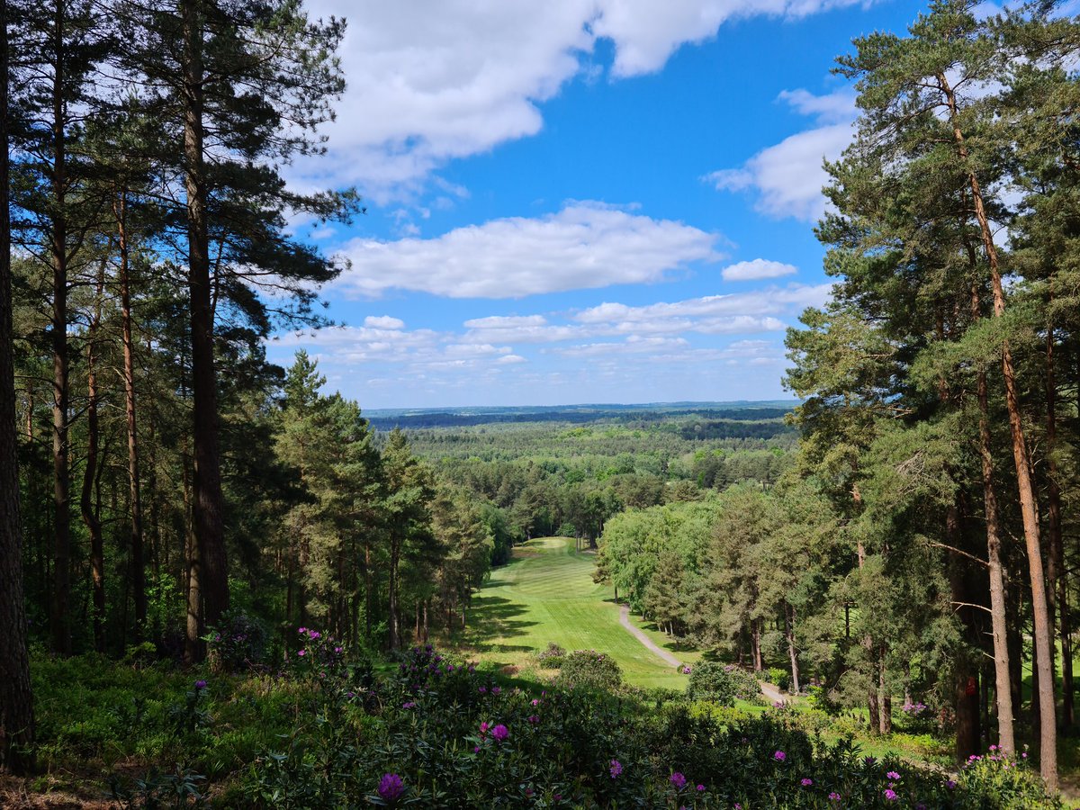 danharding7's tweet photo. Few from the course yesterday in the sunshine @GkThorns @OldThornsHotel @SF_Greenkeeper @RyanAngear https://t.co/3E8aendsc8
