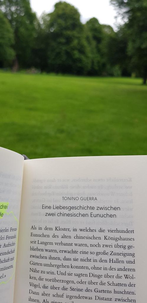 RZamonien's tweet photo. #Manesse Verlag https://t.co/wUfZ6F2Dq3