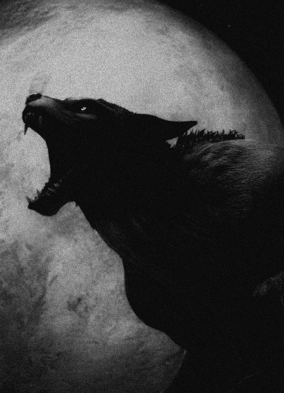 BxdTemper's tweet photo. 𝑍 𝐸 𝑇 𝐴 𝐻 || WEREWOLF. ||
━━━━━━━━━━━━━━━━━ 

             . -   N S F W. Violence.      +1 8.
                  Extensión adaptable.  SOFT.
                  Blood. Violence.   Multiship. 
                  #Freerol - #Sexrol - #Lewd 

RT? https://t.co/7FmhDo4LUc