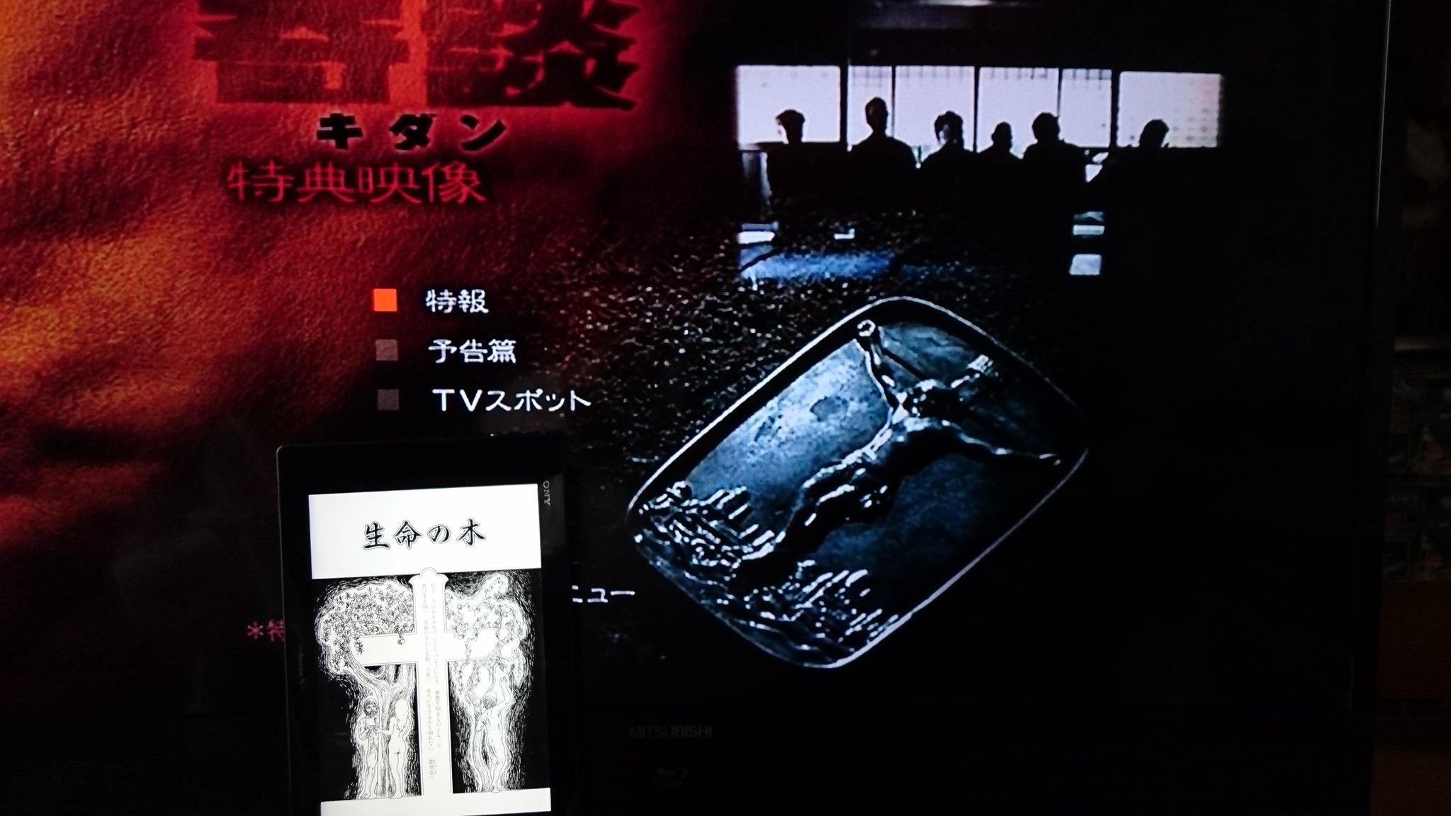 おとちゃん 今日は曇りで頭が痛い 急ぎの仕事もないので 休養がてら映画を見る 頭痛いのに 見た映画は 奇談 05年の 映画で何度目 好きな映画も漫画も小説も何度でも見直します 諸星大二郎さん原作 妖怪ハンターシリーズ の一つ 生命の木 を元