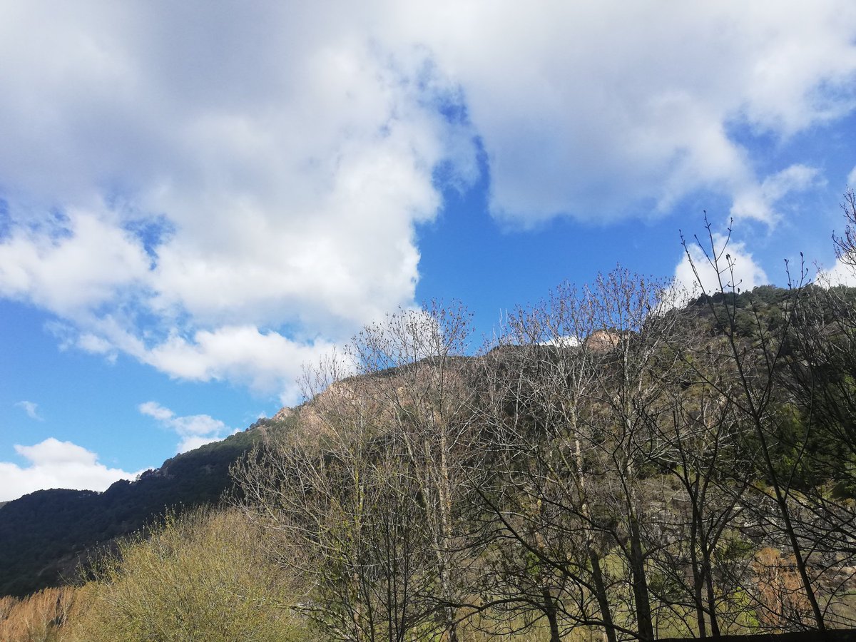 CarolinaCuen's tweet photo. Bon dia!!
Per més núvols que hi hagi
no ens taparan el divendres!!
#Perfidivendres
#Ordino https://t.co/a3hb0mMt7M