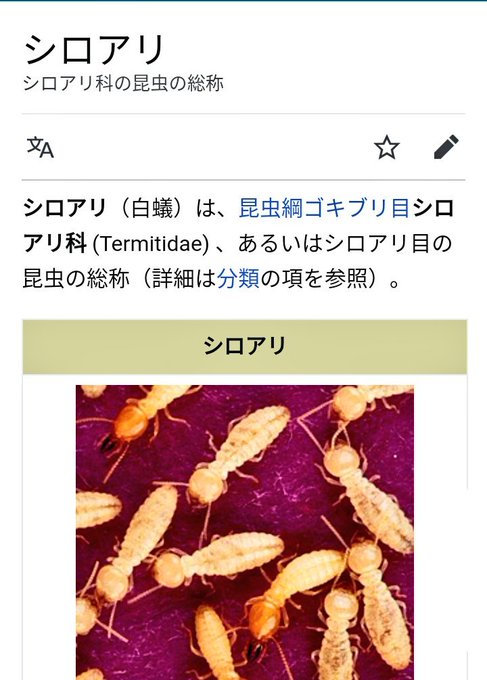 シロアリのtwitterイラスト検索結果