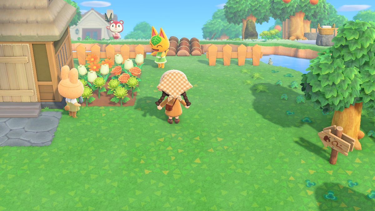 soy_urchin's tweet photo. #AnimalCrossing #ACNH #NintendoSwitch https://t.co/3zVMU3nIMk