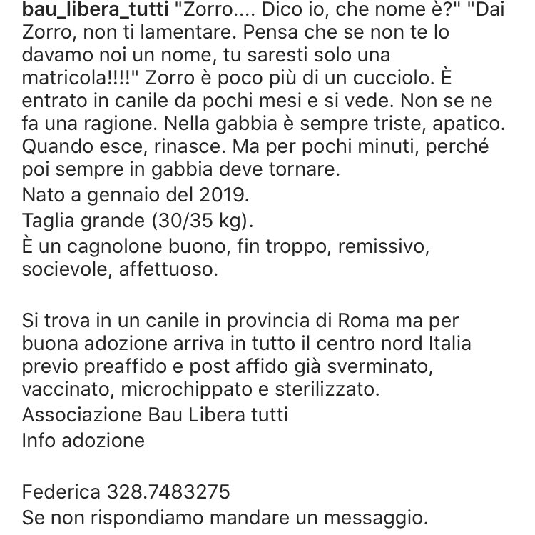 susy962's tweet photo. 🆘🆘Zorro ha bisogno del nostro aiuto. Facciamo girare il più possibile grazie🙏❤️ https://t.co/U8P7TlPg0n