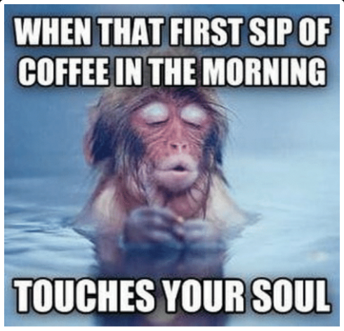 kaapimachine's tweet photo. This Meme speaks for itself.

Tell us if you can relate?
#ThinkCoffeeThinkKaapi #Cuppucino #KaapiMachines #CoffeeTime #CoffeeLove #CoffeeDaily #CoffeeLife #Coffee_Insta #CoffeeCommunity #Coffeefacts #coffeetrivia #italian https://t.co/oemNxuxYKI