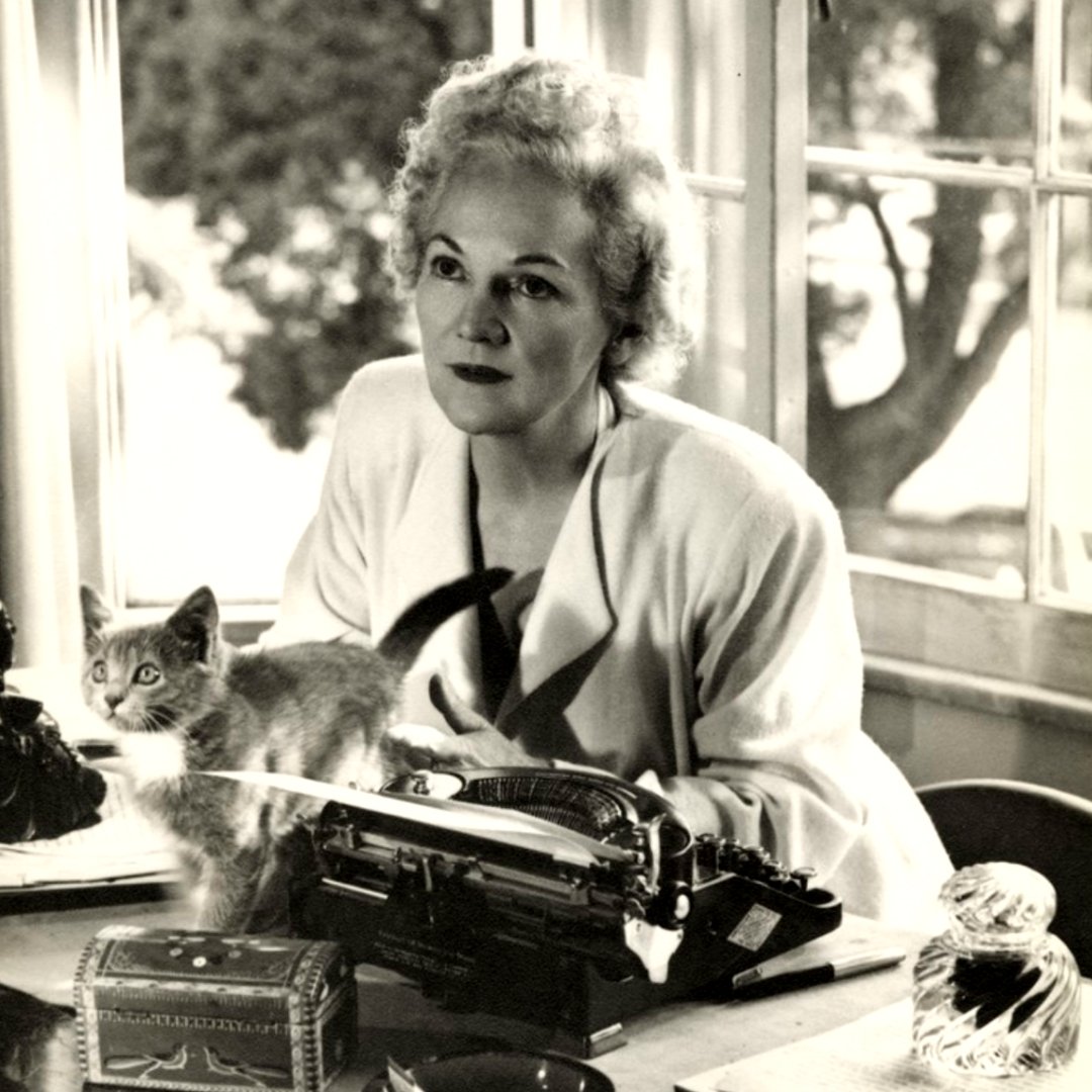 Modus Operandi. Arte y cultura tweet media