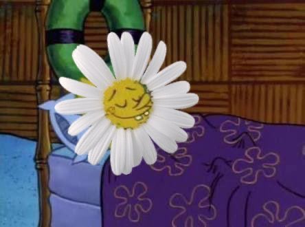 eduardabetamim's tweet photo. Eu indo dormir depois de ter escutado o novo hino da Katy. #DAISIES https://t.co/pTIzQ3LAi0