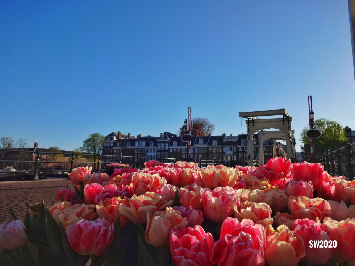 Amsterdam Explorer tweet media