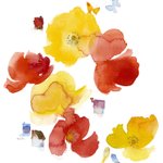 main image of this resource