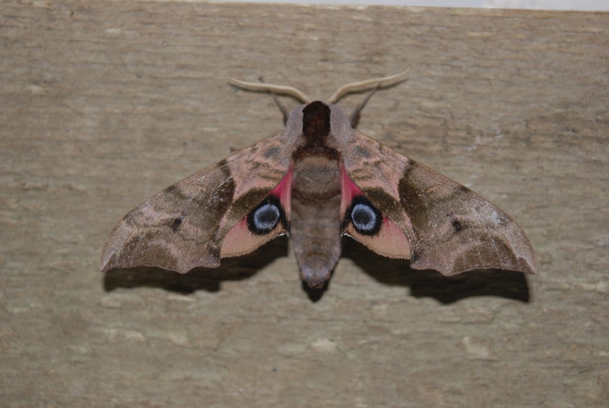 Mijnblogje.nl on Twitter: "Oeps, verkeerde emoji🥴. Hier komen praatjes