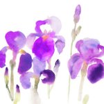main image of this resource
