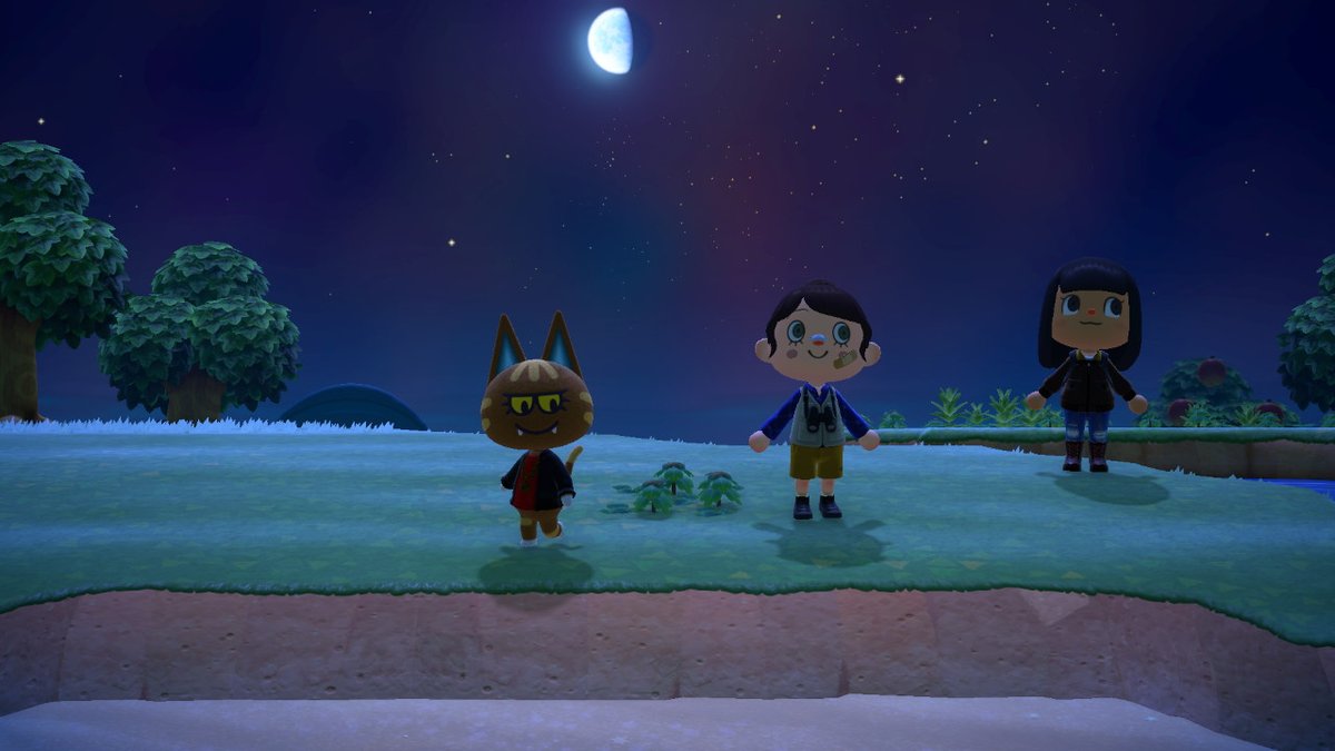 柯西黎曼八腕总目 tweet media